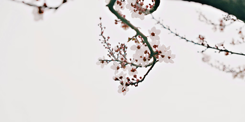 Health truly is a blessing. And if something goes wrong, maybe it’s for a reason we’re meant to learn from, Why Am I Suddenly Sick? Finding Gratitude in Early Awareness. Minimal aesthetic image symbolizing calm focus and inspiration for success.